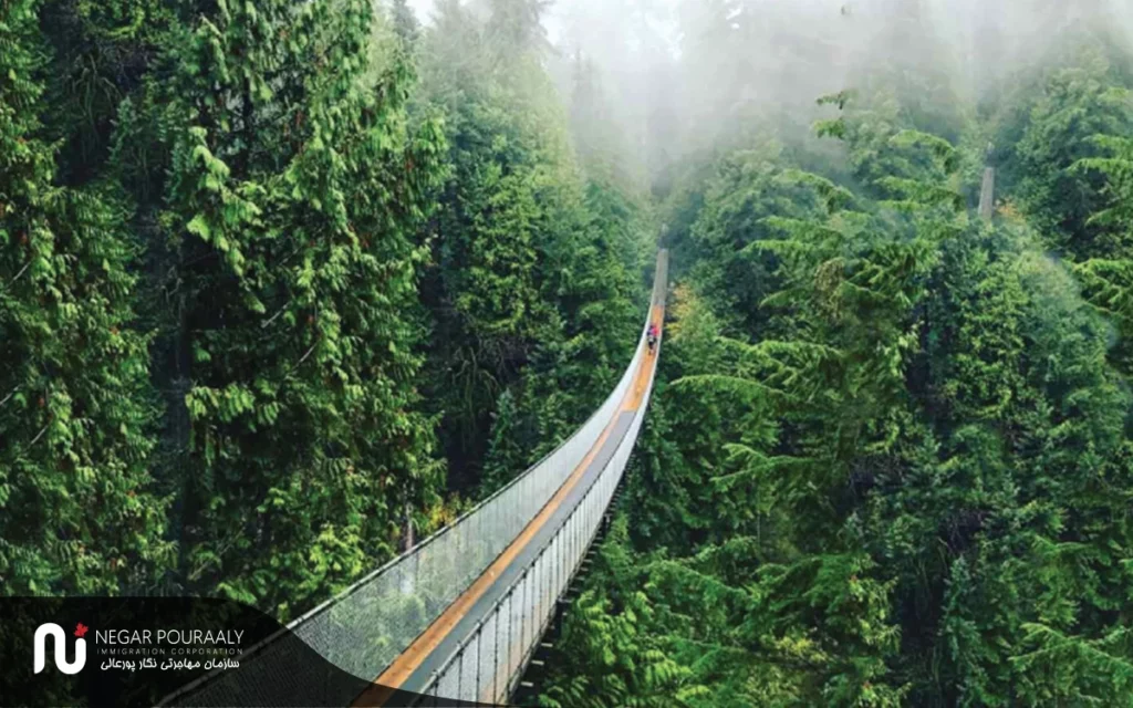 پل معلق کاپیلانو | Capilano Suspension Bridge Park