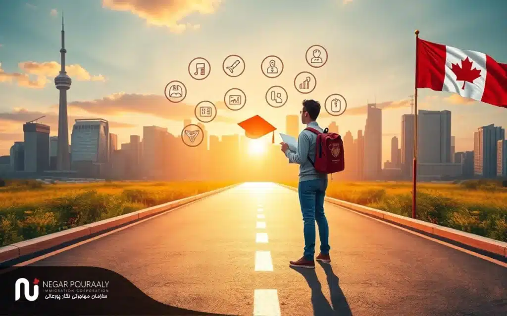 مزایای انتخاب بهترین رشتهها برای دریافت اقامت دائم