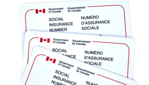 social-insurance-number-canada-1024x713